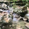 We can heal the water as much as the water can heal us