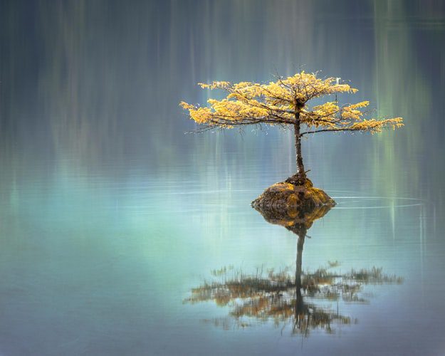 Jette ton pain dans les eaux. Tu le retrouveras après plusieurs jours.