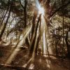 The path of ascension…