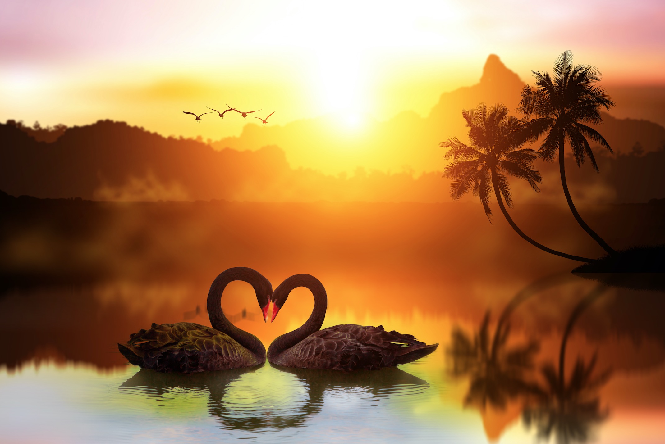 L’Amour est… « ce qui est infiniment présent dans l’univers ». Christina von Dreien