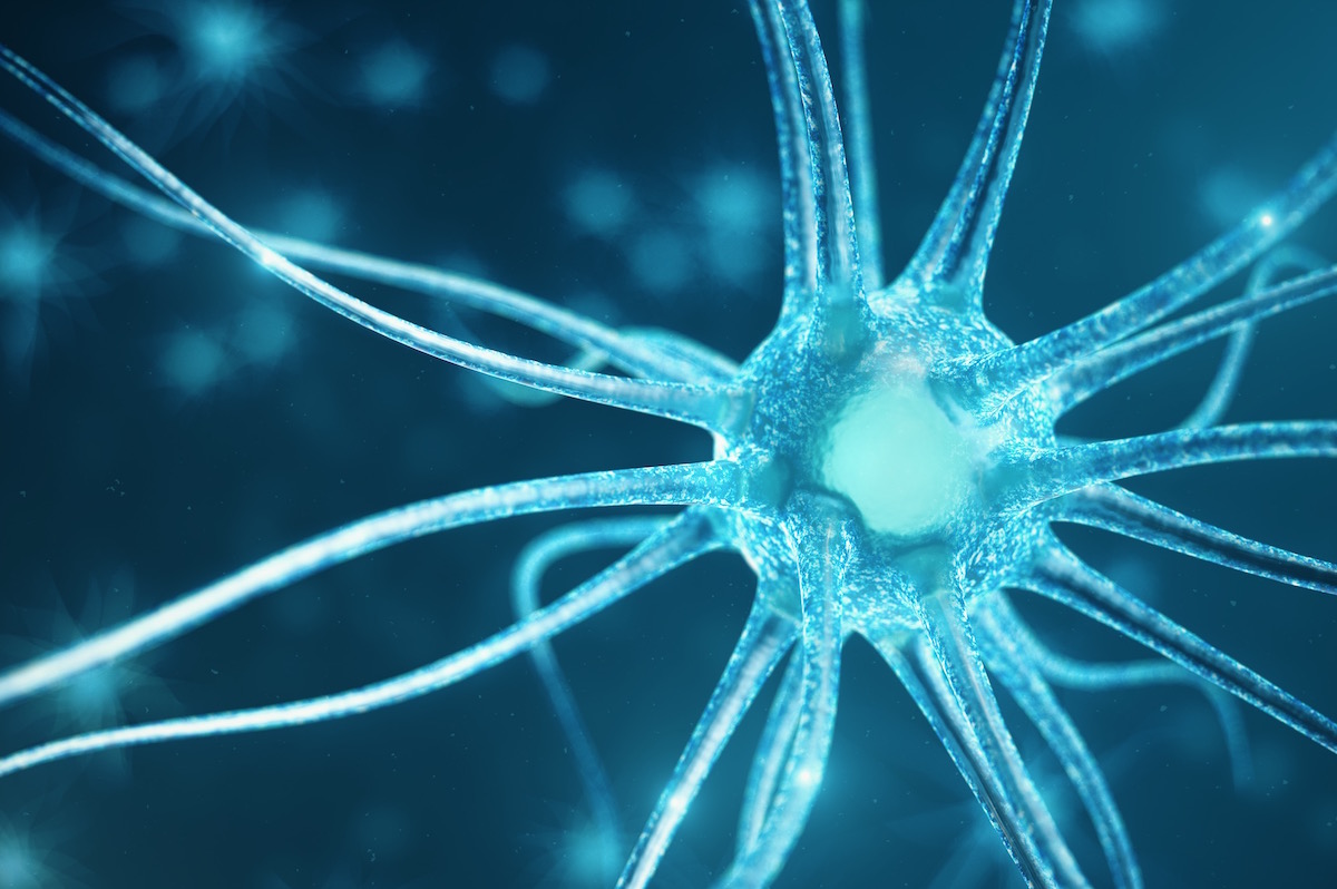 Qu’est-ce que la Connaissance?… chaque cellule est habitée par une âme vivante