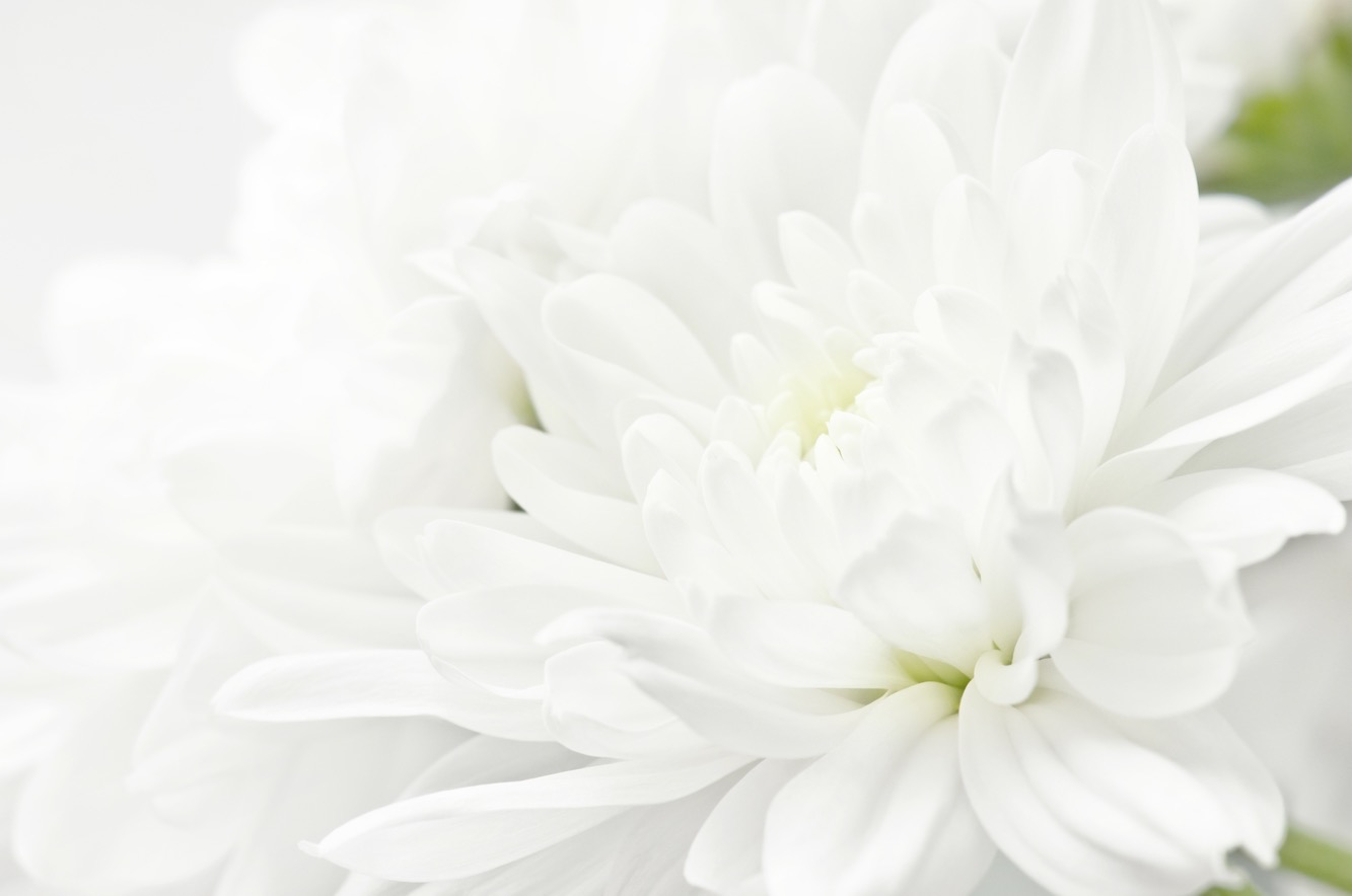 When Purity, Beauty and Simplicity Touch Your Heart SO Deeply…
