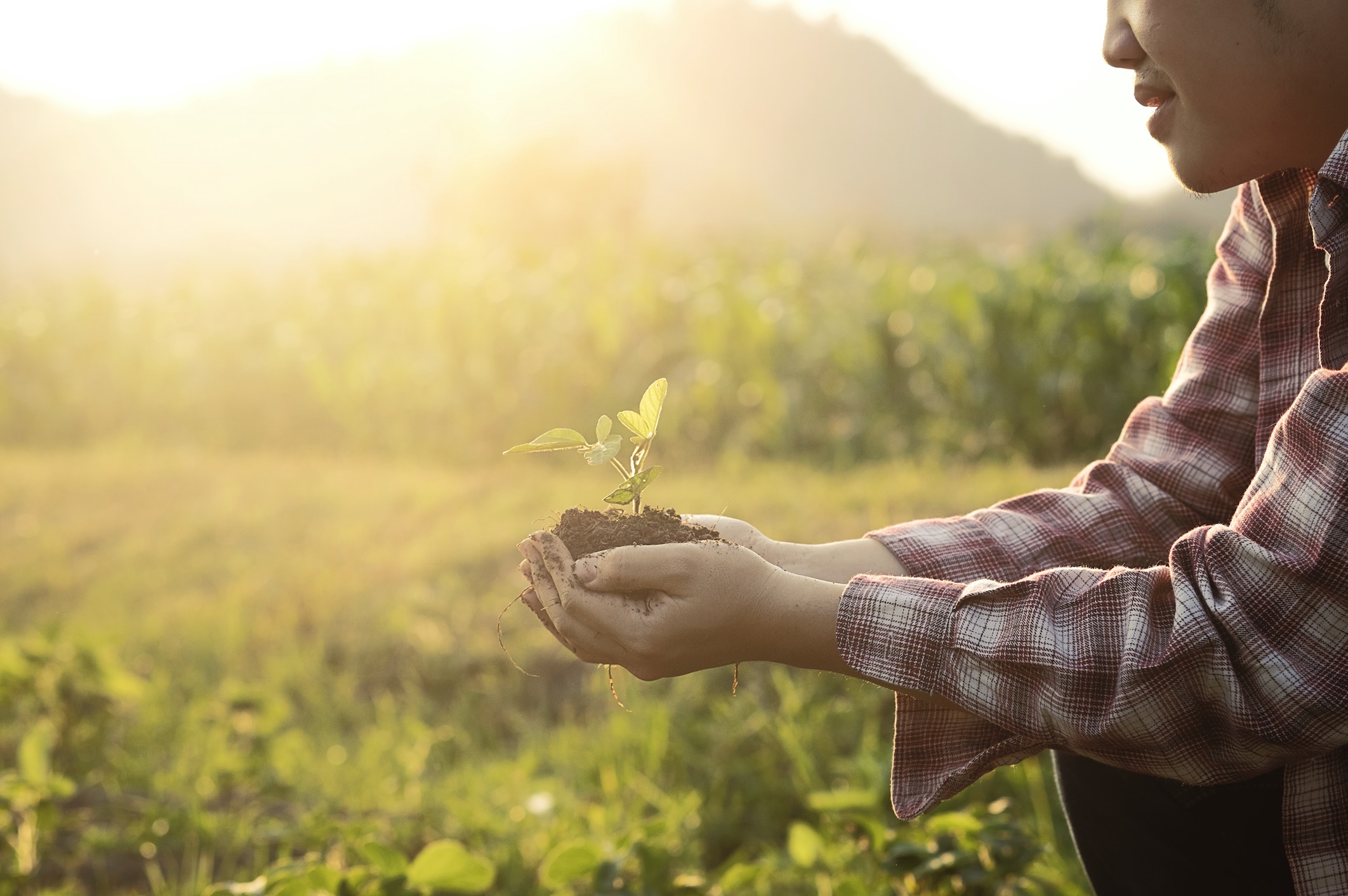 Faire de l’alimentation vivante une priorité dans nos vies. Pour le bien de la planète