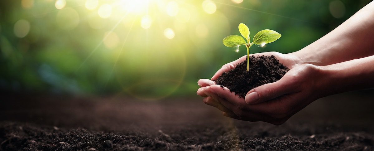 Nous cultivons la vie – l’événement humus. Du 7 au 10 octobre à Leipzig (DE)