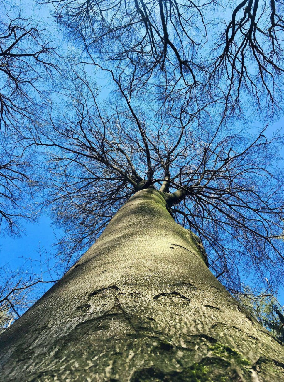 Soulful Photography: Die Essenz des Lebens durch das Objektiv einfangen