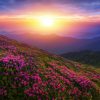Real change will only happen when we fall in love with our planet