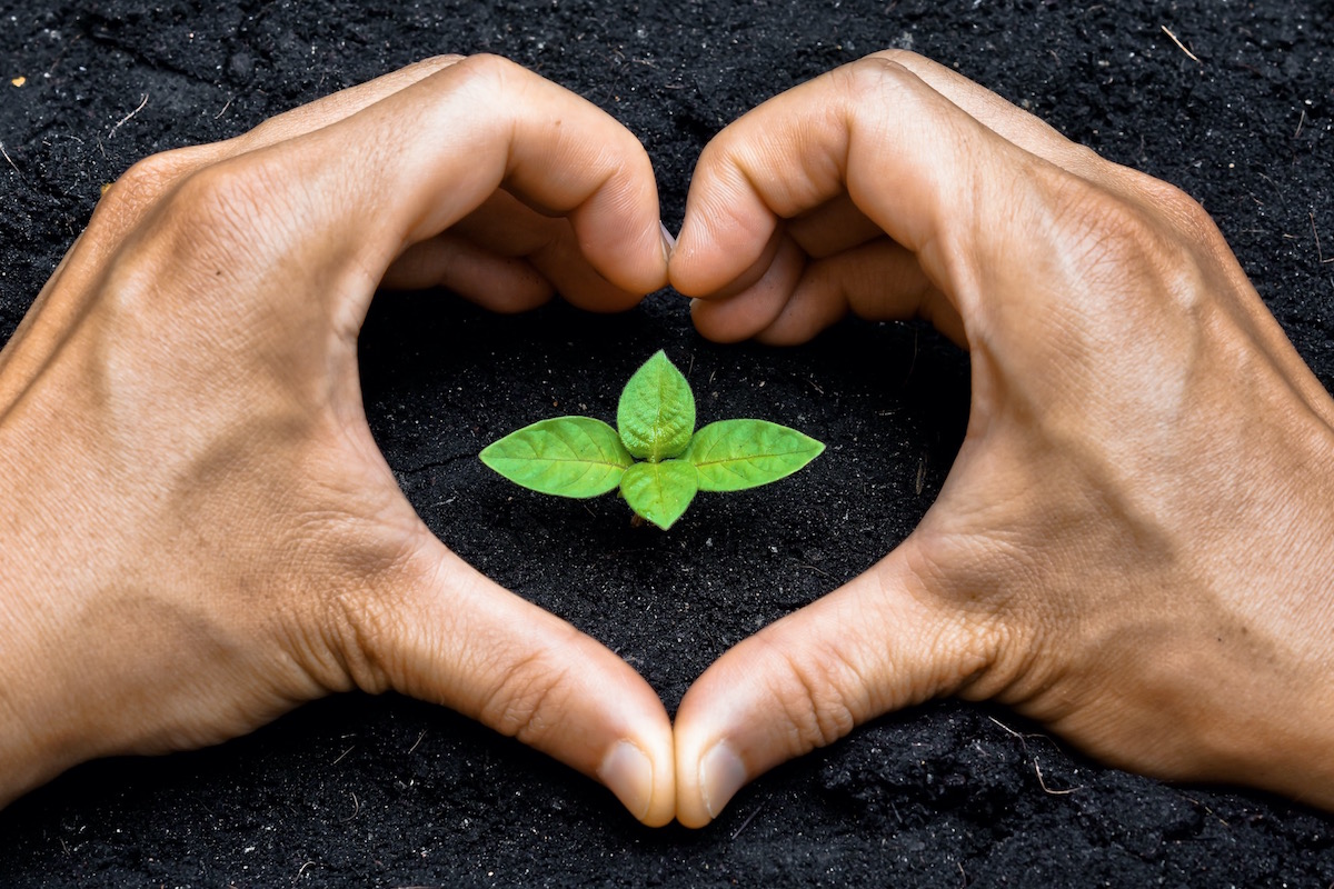 Quel est cet amour responsable de guérison ? – Léonard Laskow