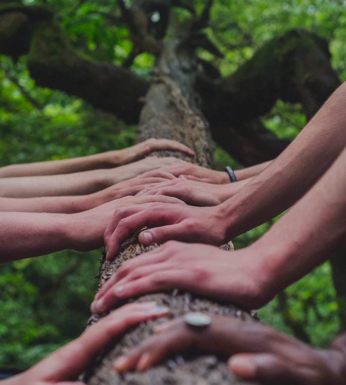 Que pouvons-nous faire ensemble pour notre Terre maintenant ? Le manifeste de la Nouvelle Terre