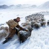 Eisige Kälte und grosse Not in der Mongolei