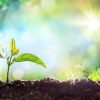 Il est temps de donner naissance au nouveau – par Karta Satyavrati