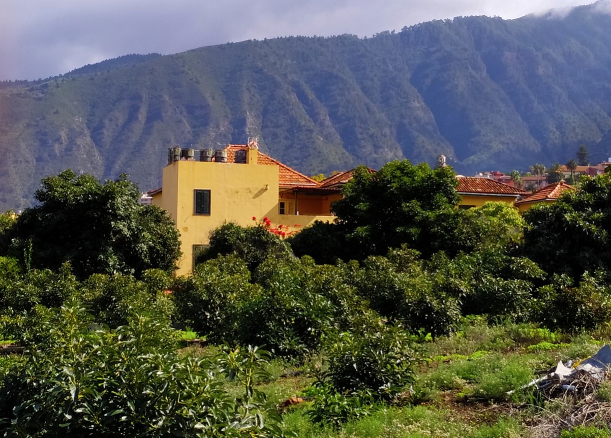 FINCAFELICIDAD TENERIFE, ein sozial orientiertes Kulturzentrum