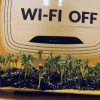 The impact of wifi on living organisms revealed by an experiment conducted by students