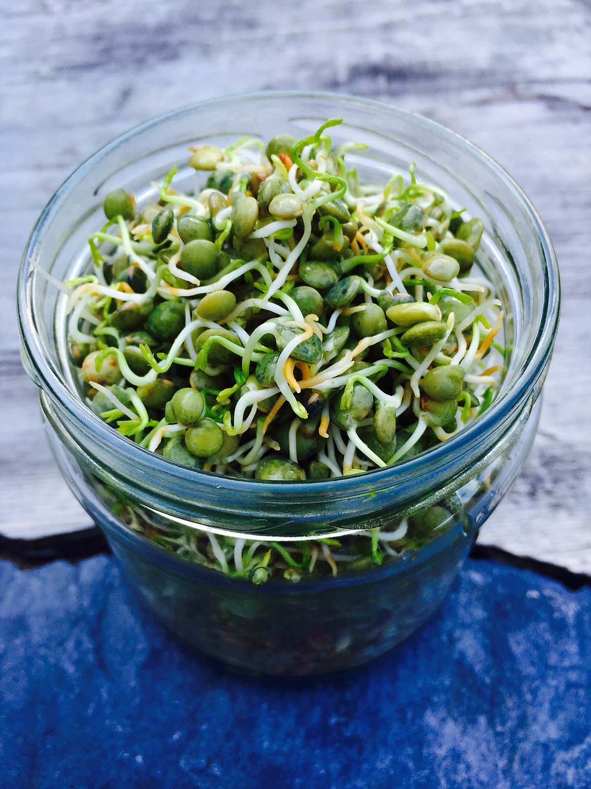 Living Food: an easy guide how to start growing your own sprouts