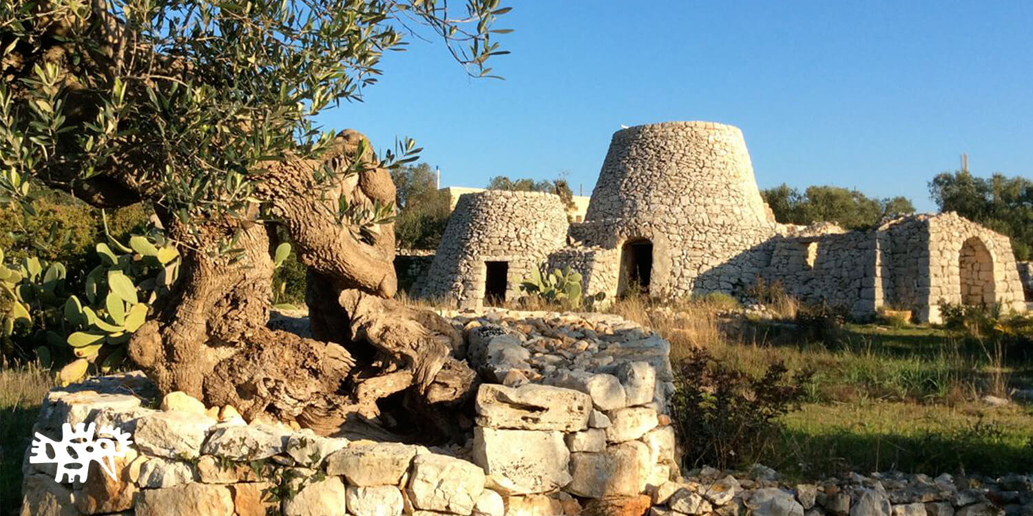 Building a sustainable Agri-Camping and saving olive trees.