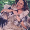 “Vera”- mother of all sloths, biologist