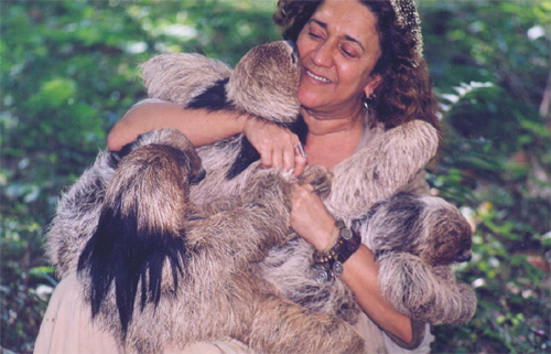 “Vera”- mother of all sloths, biologist