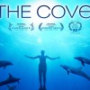 The Cove