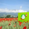 Bio Suisse