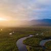 Urgence climatique et forêts en danger