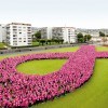 Pink Ribbon Switzerland – 4th September 2016