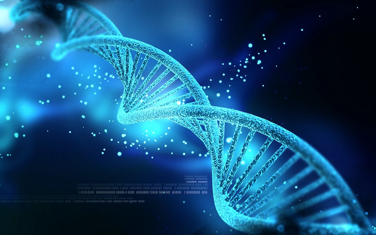 L’ADN peut être influencé et reprogrammé par des mots et des fréquences