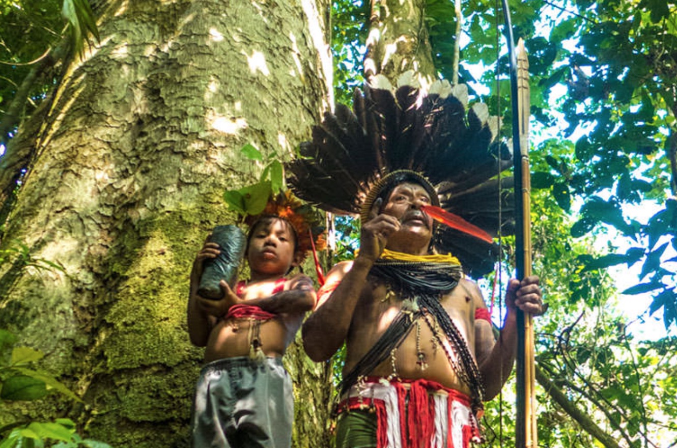 Aquaverde – La protection de la forêt primaire amazonienne est primordiale pour l’humanité