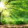 Le moment est venu d’encoder l’avenir et d’enchanter le monde avec la Mémoire de l’unité