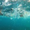 By 2050, our oceans will have more plastic trash than fish. Avaaz calls for petition.