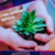 Profilbild von ledscreen