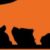 Profilbild von Buffalo