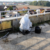 Profilbild von asbestwaechter