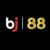 Profilbild von BJ88