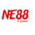 Illustration du profil de ne