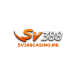 Profile picture of SV