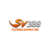 Illustration du profil de SV