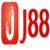 Illustration du profil de J88