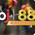 Illustration du profil de Bj88s