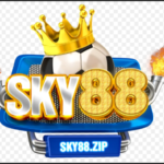 Illustration du profil de Sky88