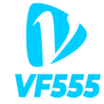 Profilbild von Vf555