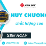 Illustration du profil de Huy Chương