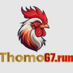 Profile picture of THOMO67