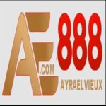 Illustration du profil de AE888