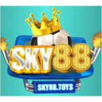 Illustration du profil de Sky88