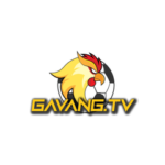 Illustration du profil de Gavangtv