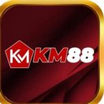 Profile picture of KM88