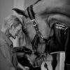 Peyo, horse of the heart, the happiness of patients in the hospitals