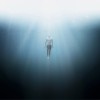 Joe Noonan / Diving Deeper