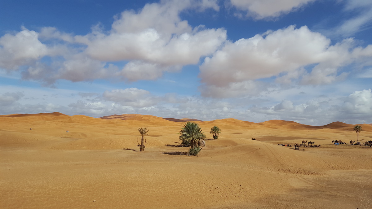 Karawanserail – das Seminarhaus in der Wüste