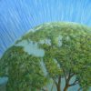 Comment associer les droits de la Terre avec les droits Humains: appel à notre conscience collective.