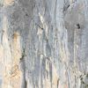 Ganesha (8c, 7 pitches) – Rope Solo First Ascent by Fabian Buhl